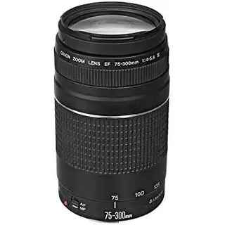 Lente Canon EF 75-300 mm f/4.0-5.6 III